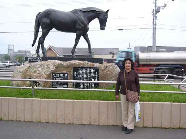北海道１周旅行、襟裳から日高へ、名馬、ハイセイコー