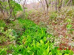 VŖ쒹Be