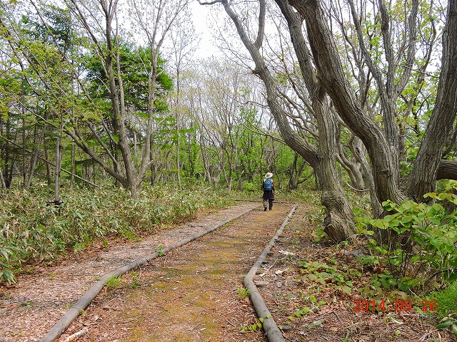 VŖ쒹Be