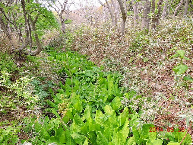 VŖ쒹Be