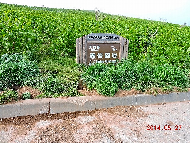 VŖ쒹Be