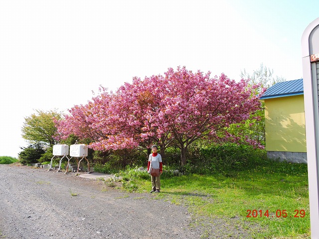 VŖ쒹BeHyֈړ