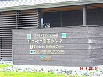 TxcԉŖ쒹Be