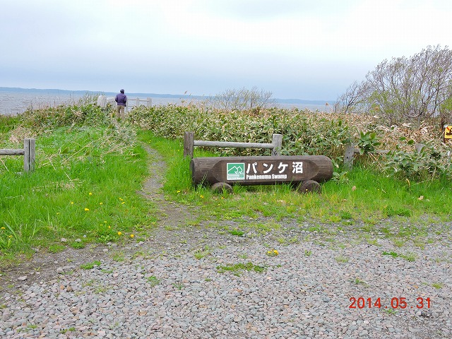 TxcԉŖ쒹Be