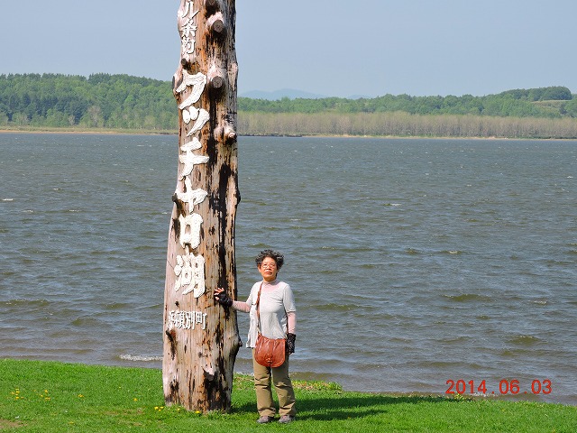 ʂֈړ
