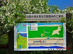 羅臼へ移動
