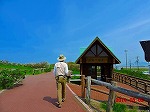 羅臼へ移動