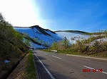 羅臼へ移動