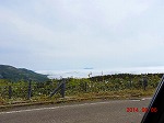 mŖ쒹Be