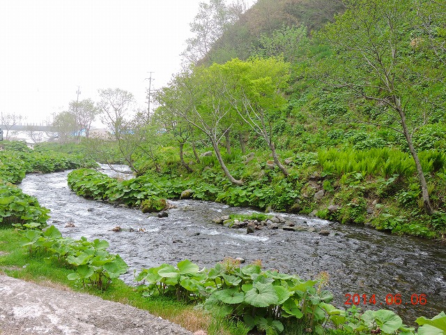 mŖ쒹Be