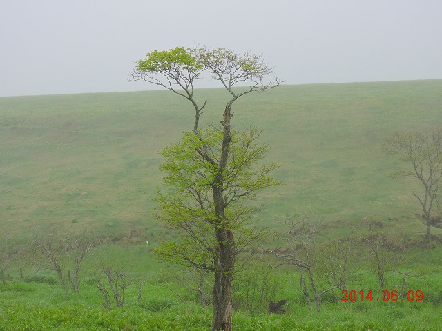 AŖ쒹Be