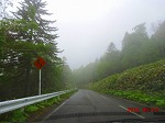 w_ֈړ
