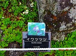 xt߂Ŗ쒹Be