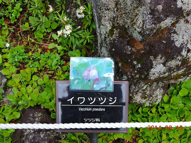 xt߂Ŗ쒹Be