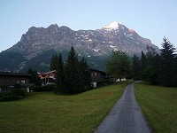 VgzW]