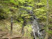 もみじ滝(きたけ峰に上がる途中にあります。)