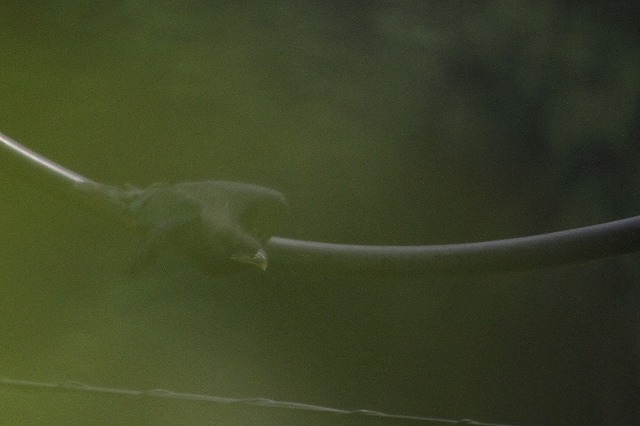 ub|E\Ȇ