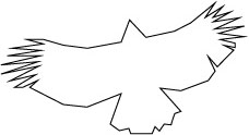 クマタカA