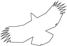 クマタカB