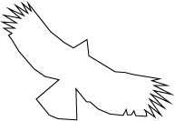 クマタカC_1