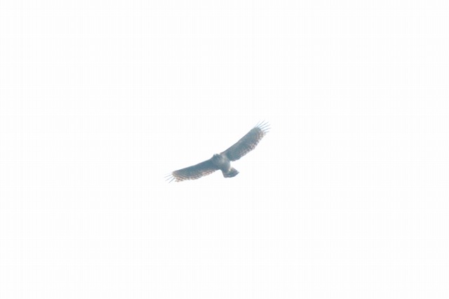 ʌ̃N}^JB