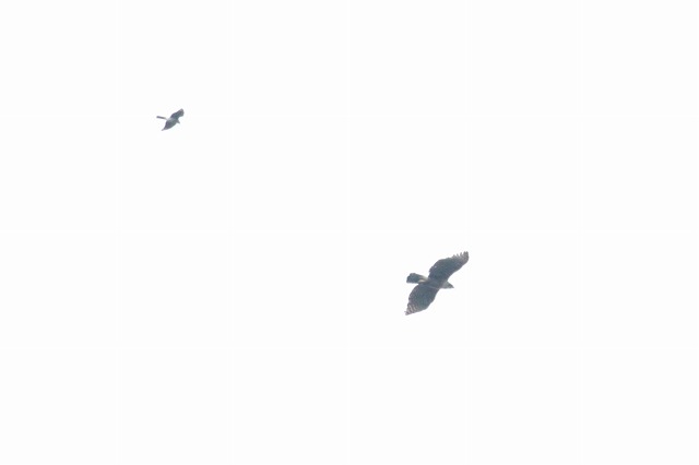 N}^JA