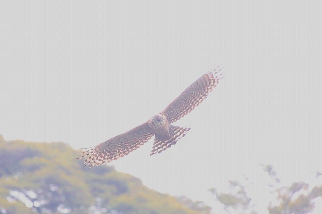 ʌő̃N}^JB