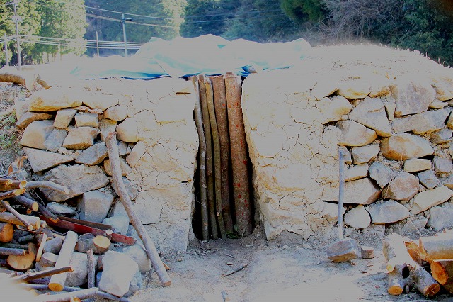 YĂ