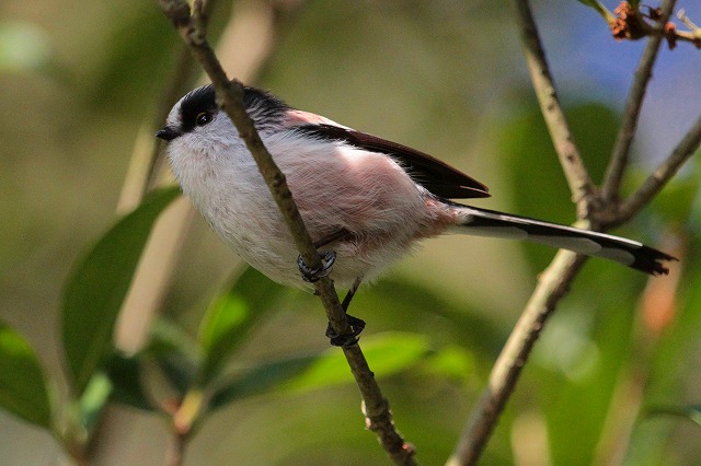 GiK